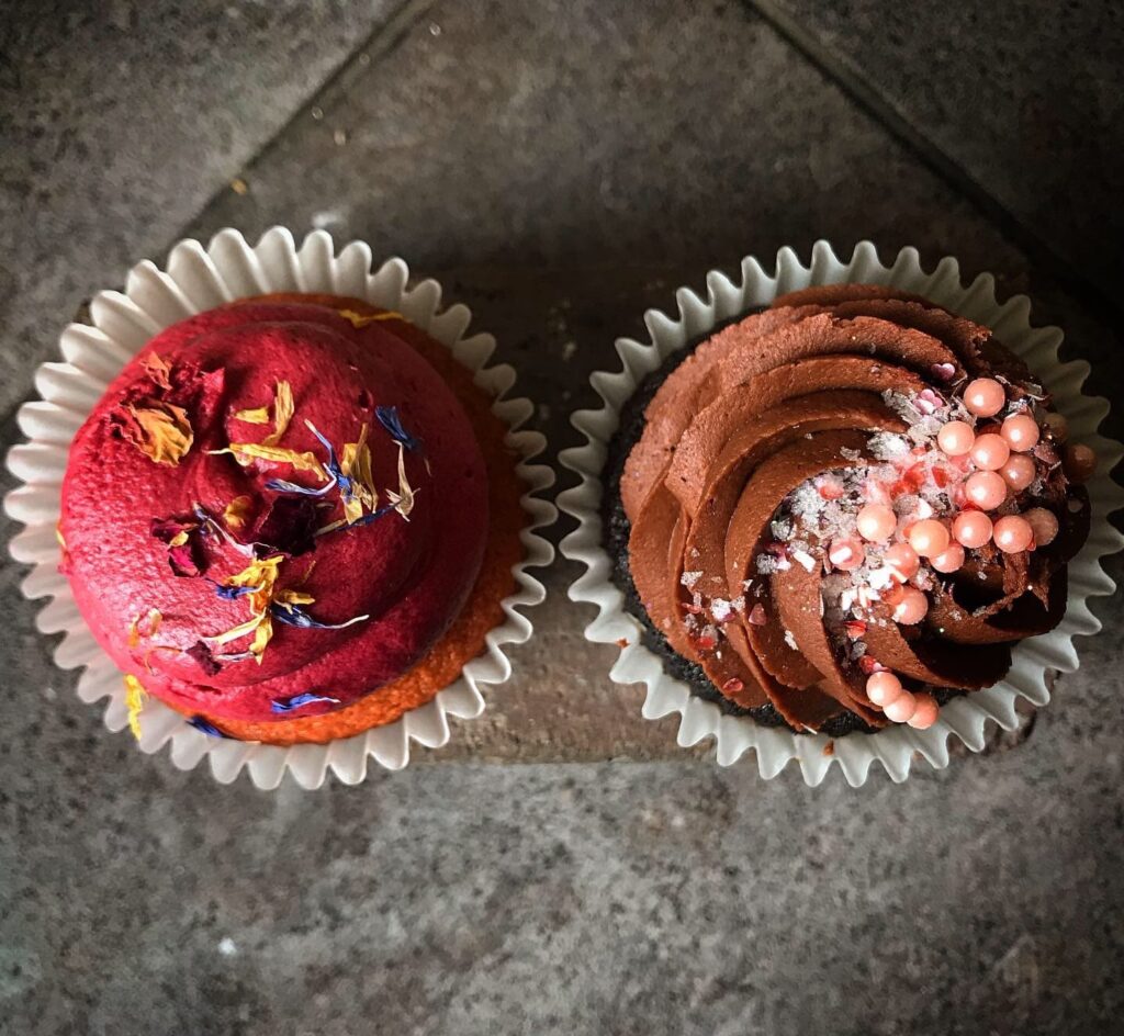 Two decorated cupcakes, one raspberry with edible flowers and one chocolate