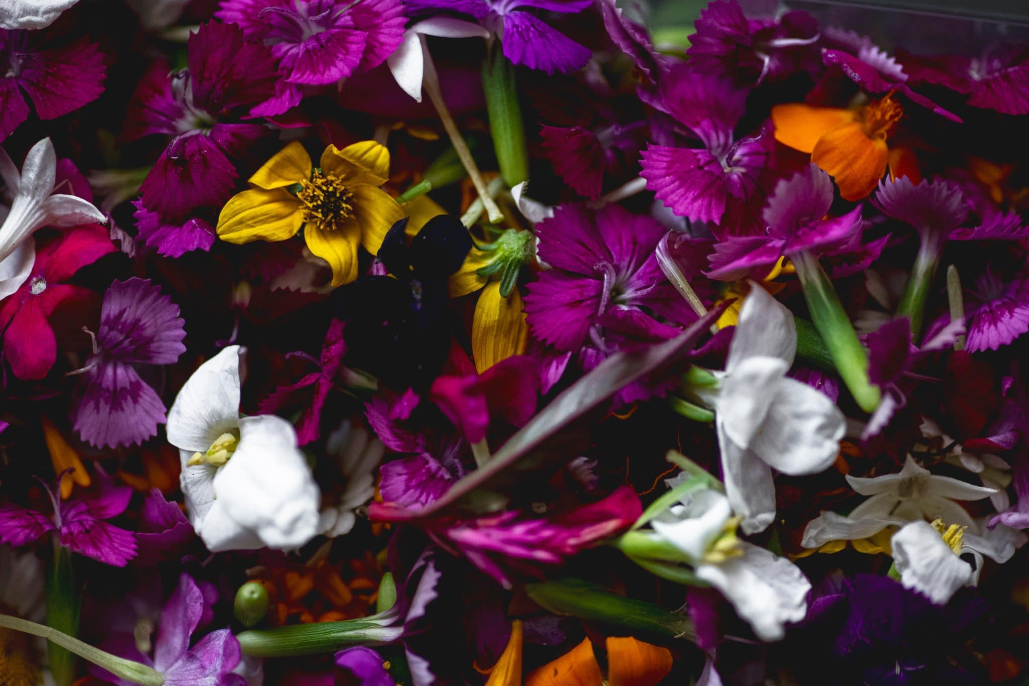 Scattered edible flowers in purple, yellow and white